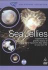 Image for Sea Jellies : Experience the Graceful Beauty of Melbourne Aquarium&#39;s Sea Jellies on Your Own TV