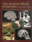 Image for The Human Brain Evolving