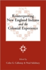 Image for Reinterpreting New England Indians and the Colonial Experience