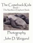 Image for &quot;The Comeback Kids&quot; : The Northern Elephant Seals : Book 1