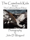 Image for The Comeback Kids, Book 3, the California Brown Pelican