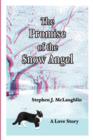 Image for The Promise of the Snow Angel