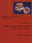 Image for Tell Qraya on the Middle Euphrates