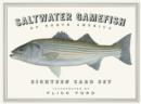 Image for Saltwater Gamefish of North America Eighteen Card Set