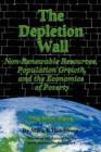 Image for The Depletion Wall : Non-Renewable Resources, Population Growth, and the Economics of Poverty / The Fifth Wave