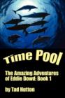 Image for Time Pool