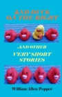 Image for 2nd Duck on the Right and Other Very Short Stories