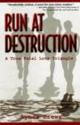 Image for Run at destruction  : a true fatal love triangle
