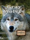 Image for Gray wolves