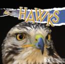Image for Hawks