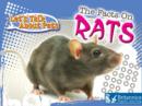 Image for The facts on rats