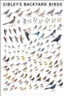 Image for Sibley&#39;s Backyard Birds : Western North America