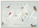 Image for Sibley Birds Eighteen Card Set