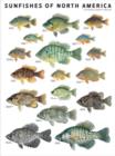 Image for Sunfishes of North America