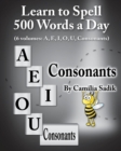 Image for Learn to Spell 500 Words a Day : The Consonants (vol. 6)