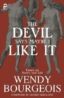 Image for The Devil Says Maybe I Like It : Essays on Poetry and Life