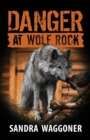 Image for Danger at Wolf Rock