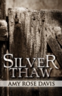 Image for Silver Thaw