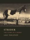 Image for Strider  : the story of a horse
