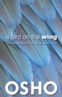 Image for A Bird on the Wing
