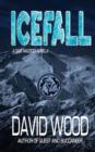 Image for Icefall- A Dane Maddock Adventure