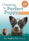 Image for Creating the Perfect Puppy : How to Start Off Right and Stay On Track