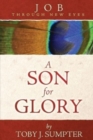 Image for A Son for Glory : Job Through New Eyes