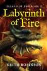Image for Labyrinth of Fire (Island of Fog, Book 2)