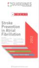 Image for Stroke Prevention in Atrial Fibrillation