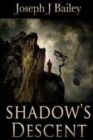 Image for Shadow&#39;s Descent : Tides of Darkness - The Chronicles of the Fists: Book 2