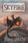 Image for Skyfire : Book II of the Summer King Chronicles