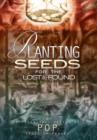 Image for Planting Seeds for the Lost &amp; Found