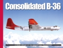 Image for Consolidated B-36 : A Visual History of the Convair B-36 &quot;Peacemaker&quot;