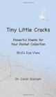 Image for Tiny Little Cracks : Powerful Poems for Your Pocket Collection: Bird&#39;s Eye View