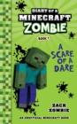 Image for Diary of a Minecraft Zombie Book 1