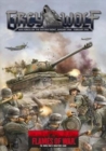 Image for Grey Wolf : Axis Forces on the Eastern Front, January 1944-February 1945