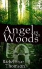 Image for Angel in the Woods