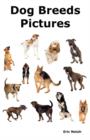 Image for Dog Breeds Pictures : Over 100 Breeds Including Chihuahua, Pug, Bulldog, German Shepherd, Maltese, Beagle, Rottweiler, Dachshund, Golden Retriever, Pomeranian, Doberman Pinscher, Terrier and Boxer.