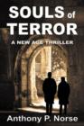 Image for SOULS OF TERROR - A New Age Thriller