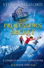 Image for The Professor&#39;s Secret