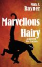 Image for Marvellous Hairy : a novel in five fractals