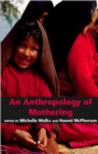 Image for An Anthropology of Mothering