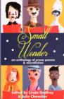 Image for Small Wonder : Prose Poems and micro fiction