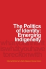 Image for The Politics of Identity : Emerging Indigeneity