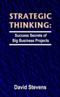 Image for Strategic Thinking: success secrets of big business projects