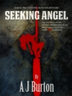 Image for Seeking Angel