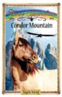 Image for Condor Mountain