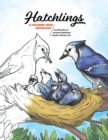 Image for Hatchlings : A Coloring Book Anthology
