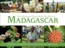 Image for Missouri Botanical Garden in Madagascar : Celebrating 25 Years of Exploration, Discovery, and Conservation on the Eighth Continent
