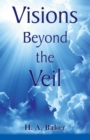 Image for Visions Beyond the Veil